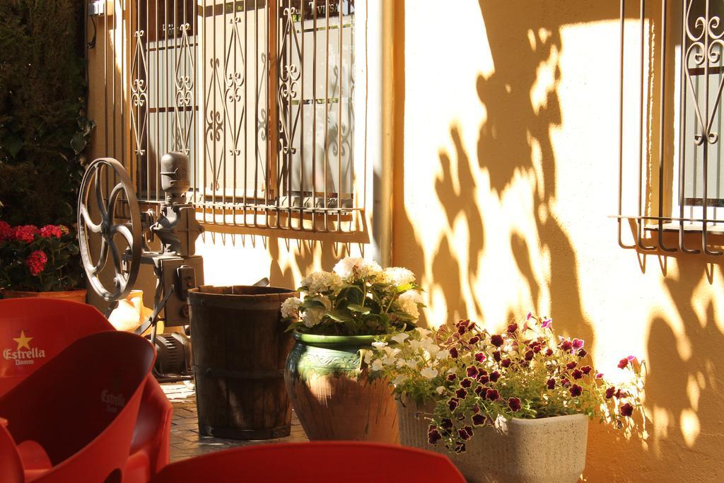 Hostal Braseria Tivissa Exteriér fotografie